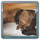 IMG_8280