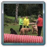 DDCCA1E2-18AE-4E3D-9F41-F6CE27DCFE2A